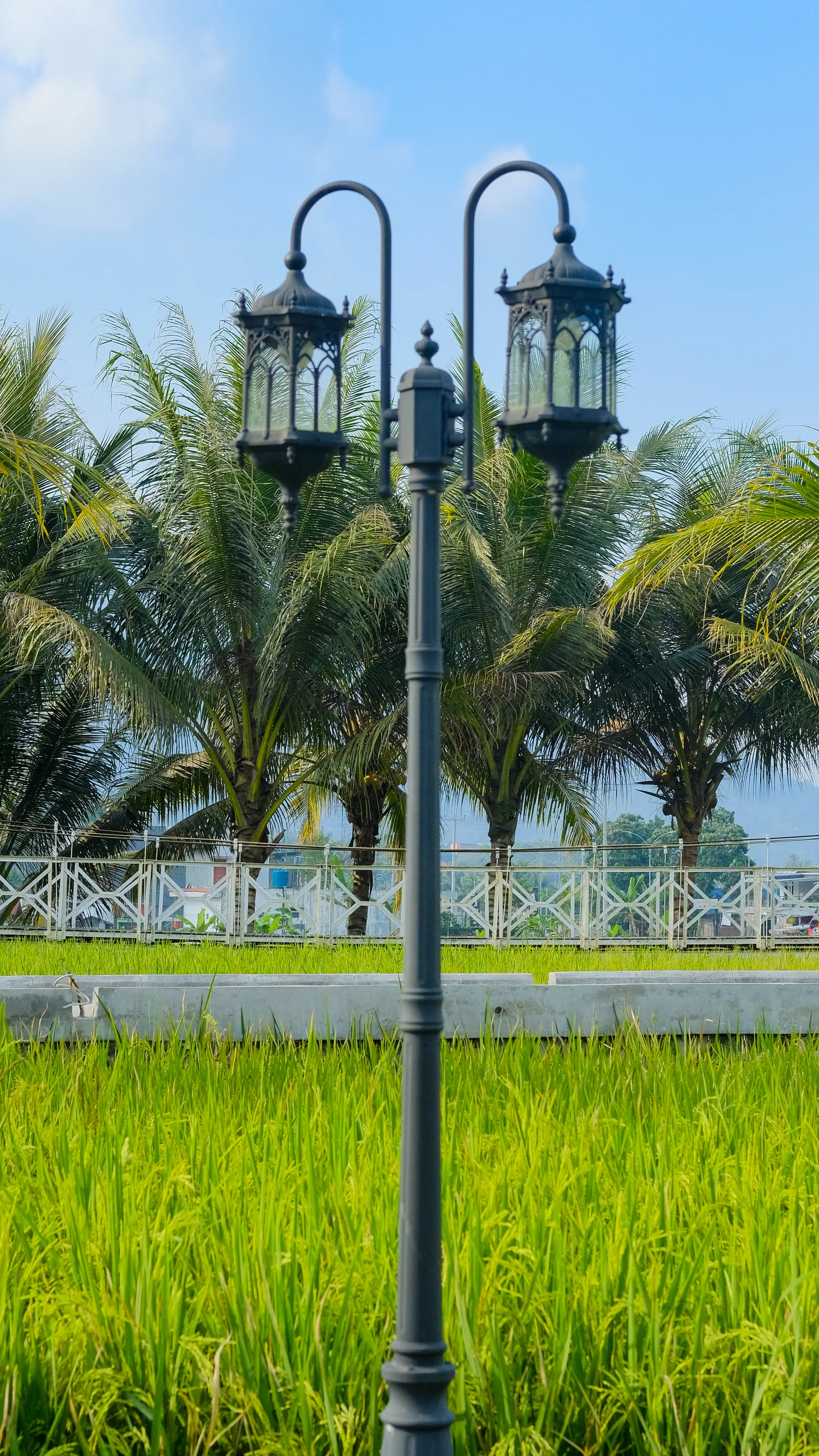 Jembatan kayu di tepi sawah