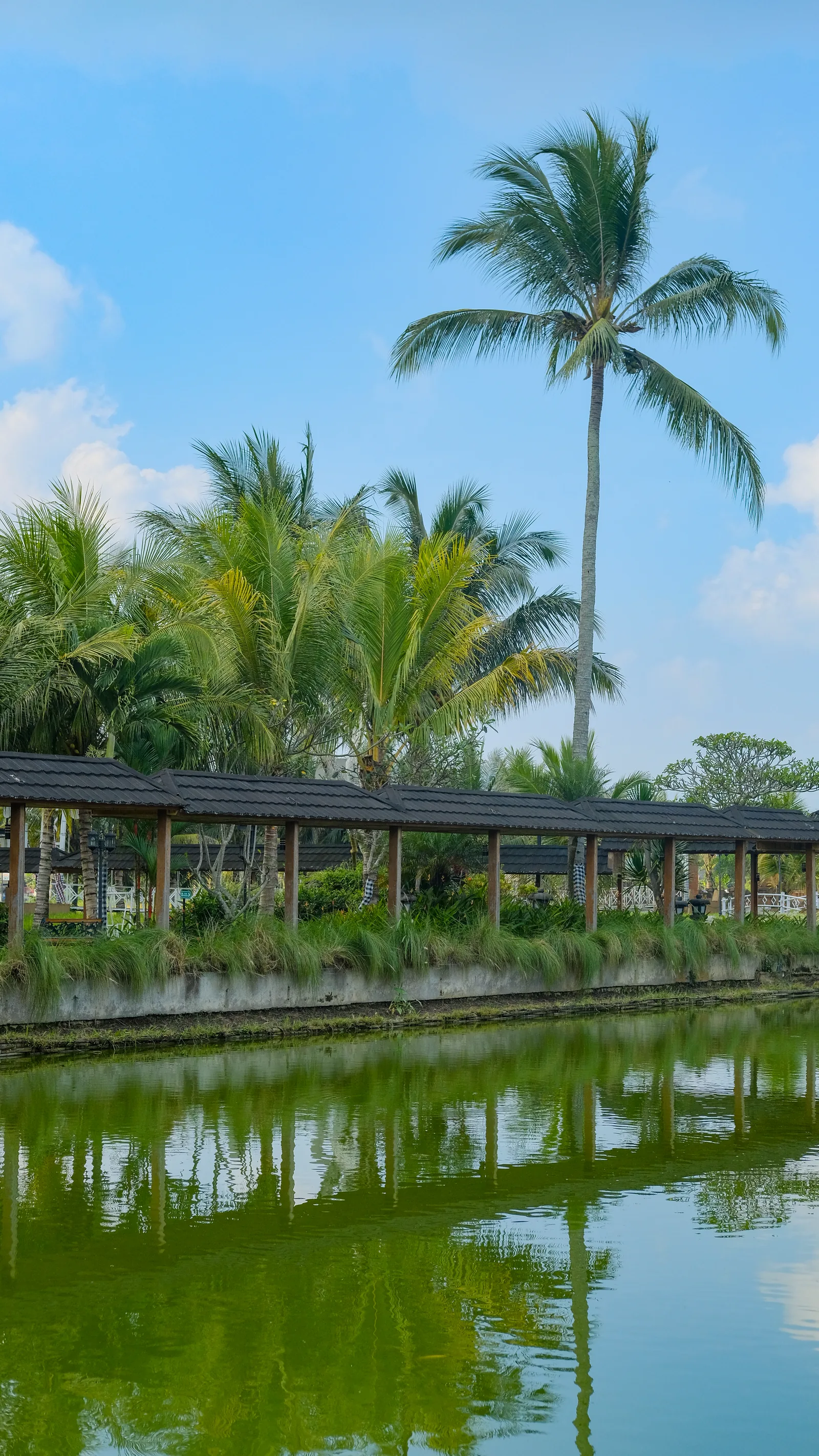 Kolam ikan dan jembatan kayu