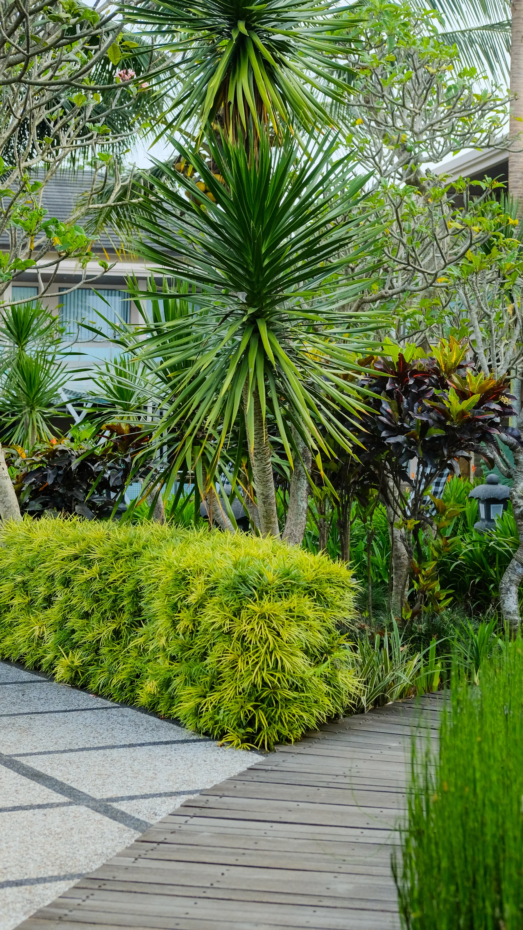 Taman tropis yang rimbun